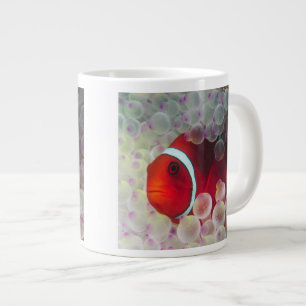 Tasse Papouasie-Nouvelle-Guinée, Grande Barrière de cora