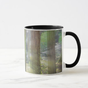 Tasse Parc d'État de Scenic Beach