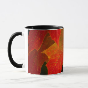 Tasse Parc d'État d'Itasca, couleurs d'automne 2