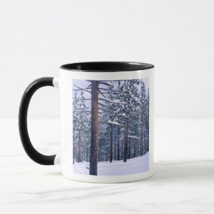 Tasse PARC D'ÉTAT DU LAC TAHOE, NEVADA. ÉTATS-UNIS. Neig