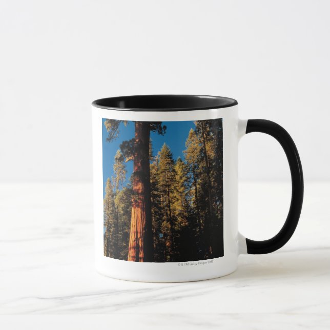 Tasse Parc national de séquoia, la Californie 2 (Droite)