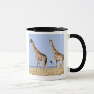 Tasse Parc national d'Etosha, Namibie
