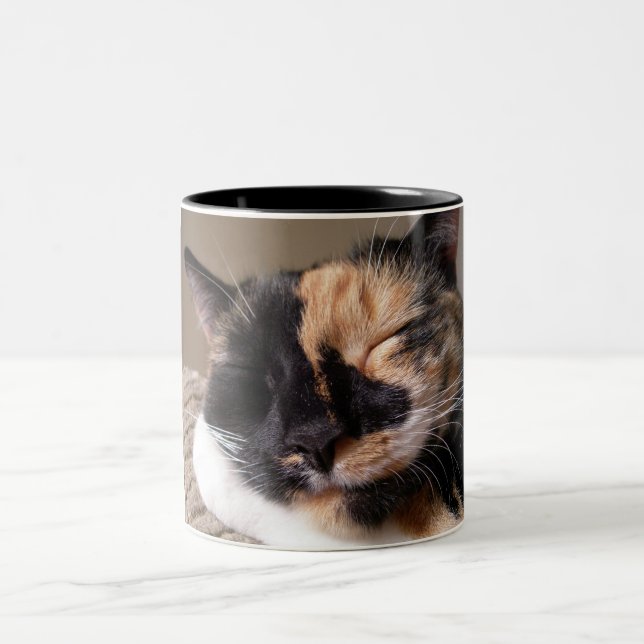 Tasse paresseuse de chat (Centre)