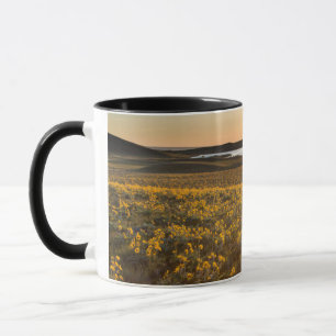 Tasse Parterre de fleurs sauvages de Balsamroot à feuill