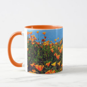 Tasse Pavots de Californie couvrant un flanc de colline