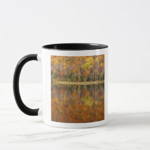 Tasse paysage d'automne avec lac, Vermont, États-Unis
