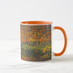 TASSE PAYSAGE DE L'AUTOMNE VALLÉE DES ARBRES TOURNÉS À L