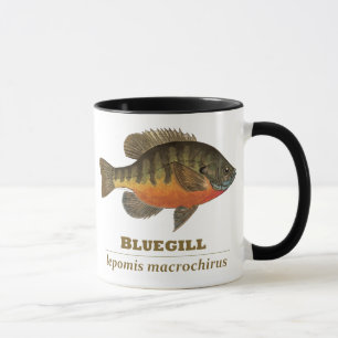 Tasse Pêche à la Breve de Bluegill