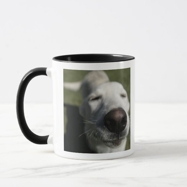 Tasse Père Noël Fe, Nouveau-Mexique (Gauche)