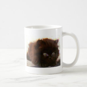 Tasse persane noire de chaton