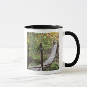 Tasse Petit pont suspendu, Patrimoine national du charbo