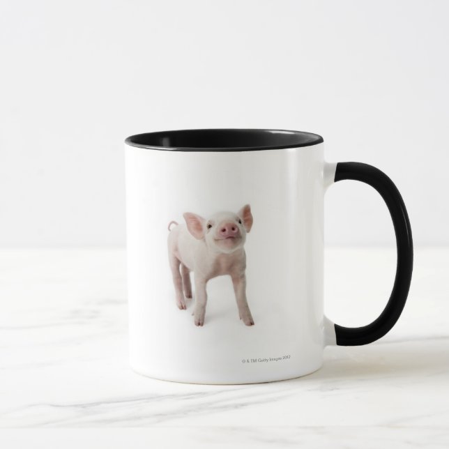 Tasse Petit porcelet (Droite)