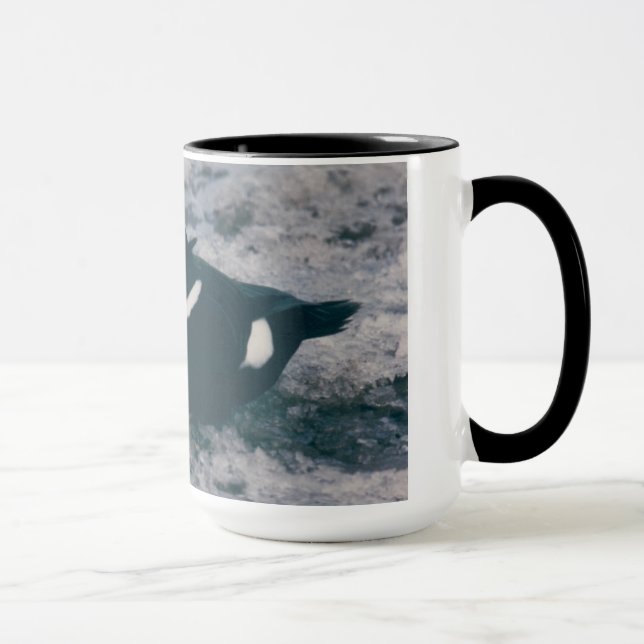 Tasse Photo de la sauvagine de l'Alaska arctique King Ei (Droite)