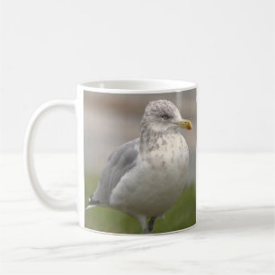 Tasse photo de mouette
