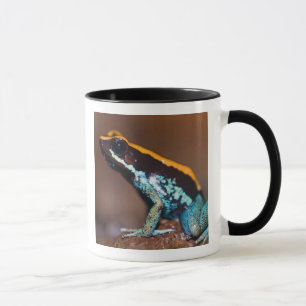 Tasse Phyllobates vittatus, une grenouille à flèche empo