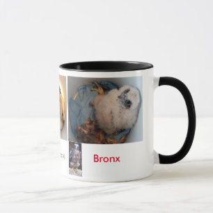 Tasse PICS 2015 de seau de Rfalconcam