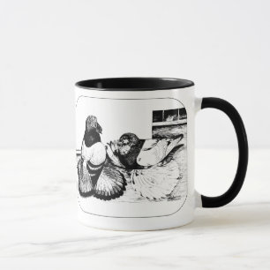 Tasse Pigeons de trompette anglais