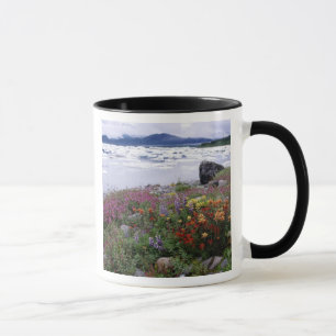 Tasse Pinceau, Lupin, Épilobe. Icebergs Russell
