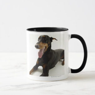 Tasse Pinscher 2 de dobermann
