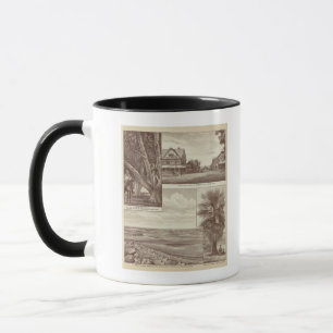 Tasse Pioneer Land Co. tractée, Porterville