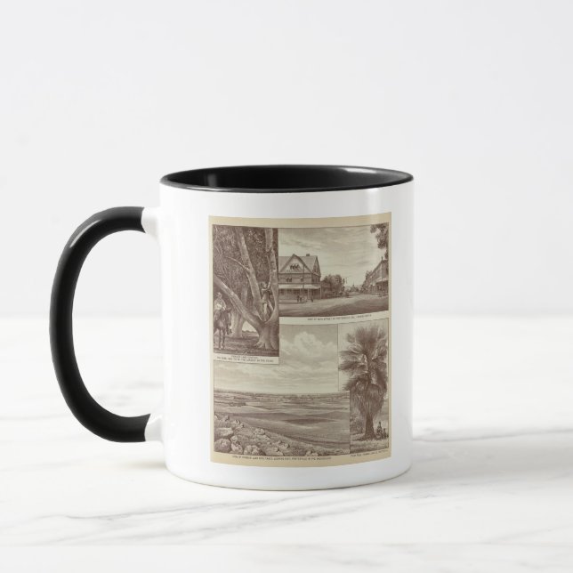 Tasse Pioneer Land Co. tractée, Porterville (Gauche)