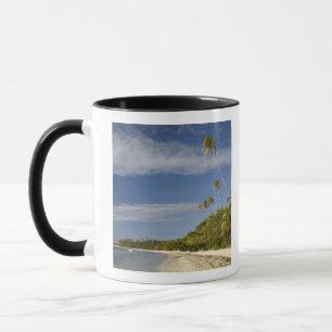 Tasse Plage et palmiers, Plantation Island Resort
