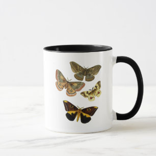 Tasse Plaque de papillon 4