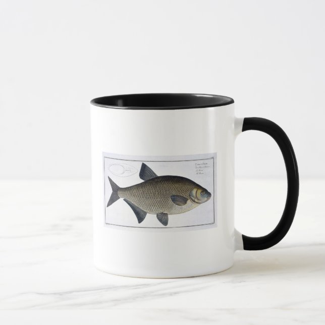 Tasse Plat XIII de brème (Brama de Cyprinus) de (Droite)