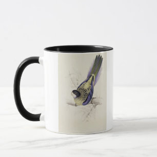 Tasse Platycercus Brownii, ou Parrakeet de Brown (plat 2