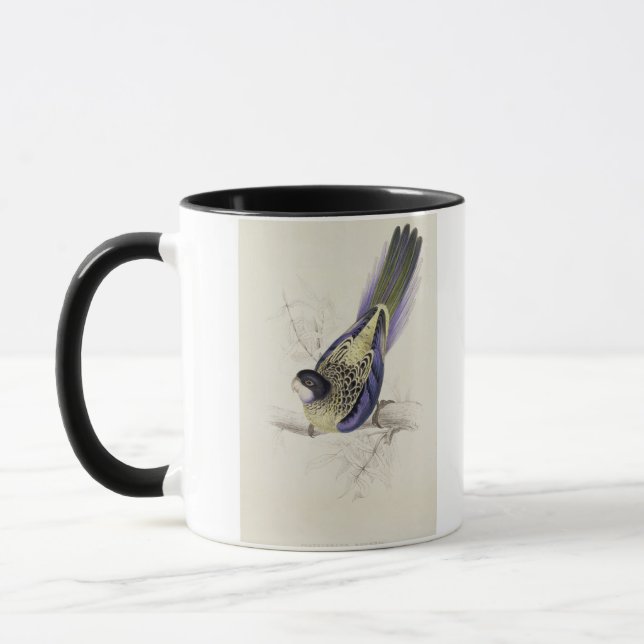 Tasse Platycercus Brownii, ou Parrakeet de Brown (plat 2 (Gauche)