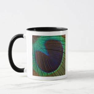 Tasse Plume de paon