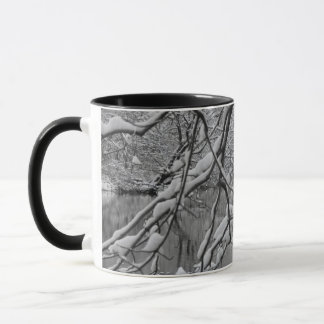 Tasse Pont de voûte au-dessus de rivière congelée en