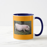 Porc de café !