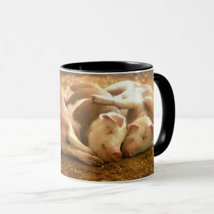 Tasse Porcs se blottissants des images de Getty