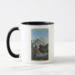 Tasse Portland, Oregon - Espagnol Pool et arbre fantôme