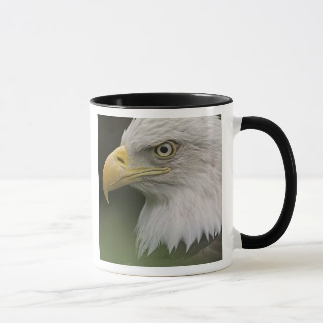 Tasse Portrait d'aigle à tête blanche adulte, Haliaeetus (Droite)