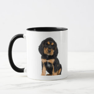 Tasse Portrait de studio de chiot de rottweiler