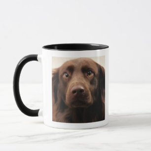 Tasse Portrait d'une jeune femelle appréhensive