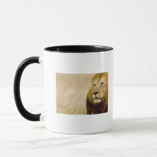 Tasse Portrait masculin de lion (Panthera Lion), masai
