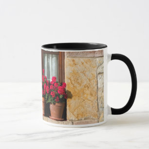 Tasse Pots de fleurs de fenêtre dans le village