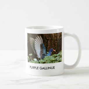 TASSE POURPRE DE GALLINULE