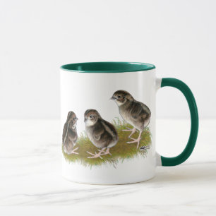 Tasse Poussins de caille Coturnix