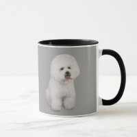 Tasse précieuse de Bichon Frise