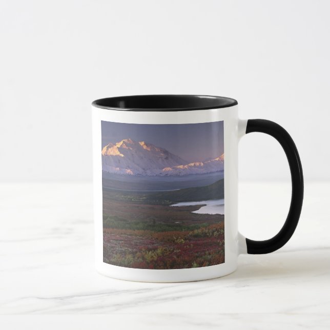 Tasse Prise début septembre dans le parc national de Den (Droite)