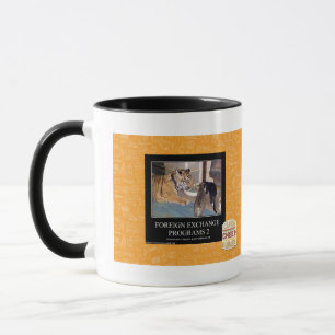 Tasse Programmes de devises étrangères 2