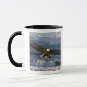 Tasse Pygargue à tête blanche, Haliaeetus leucocephalus,