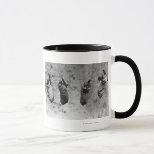 Tasse Quatre un-jour-vieux canetons chevillés