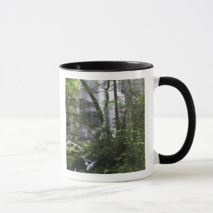 Tasse Randonneur admire Falls Branch Falls