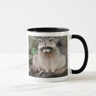 Tasse Raton laveur