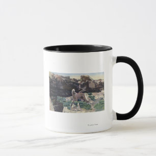 Tasse Red Desert, WY - Stallion Palomino sauvage capturé